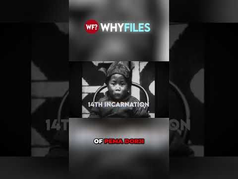 The Fascinating World of Reincarnation: Exploring Beliefs and Rituals