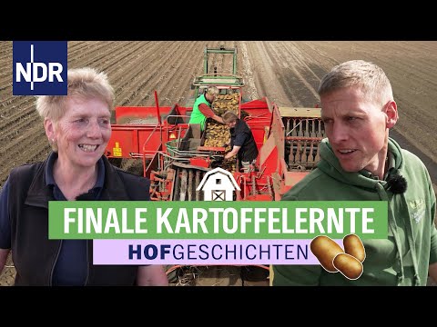So geht Kartoffelernte mit der ganzen Familie | Hofgeschichten: Leben auf'm Land (350) | NDR