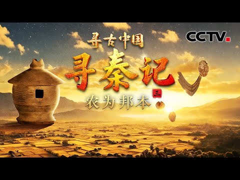 考古发现2000多年前的垃圾桶,考古队从3升土里淘出秦人食谱!《寻秦记·农为邦本》| CCTV「寻古中国」20251216