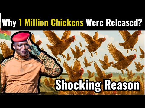 Ibrahim Traoré Released 1 Million Chickens | The Reason Will Shock You