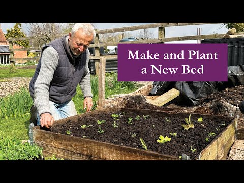 A small no dig bed on weeds, using a pallet collar for temporary sides