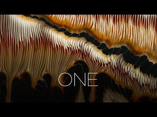 ONE - A SINGLE SHOT ALIVE PAINTING LED.ART EXCLUSIVE #hdr #painting #fluidart