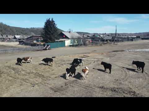 Деревни России. Забайкальская глубинка. Посёлок Ленинский. Читинский район. Оленгуй.