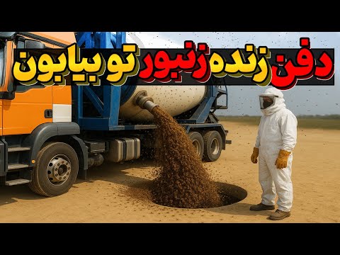 استرالیا میلیونها زنبور عسل رو زیر خاک بیابون دفن کرد - 1 سال بعد اتفاق عجیبی افتاد