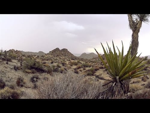 DESERT RAIN: Relaxing Sleep Video and Sound for Meditation, Stress Relief & Relaxation for Anxiety