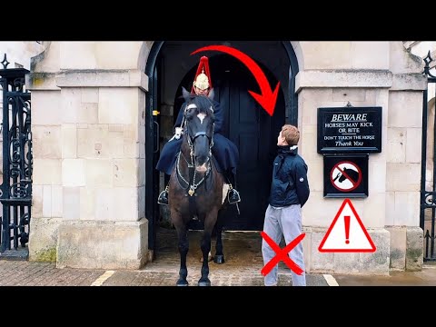 TWICE HE SHOUTS! Tourist Messed with the WRONG king’s Guard