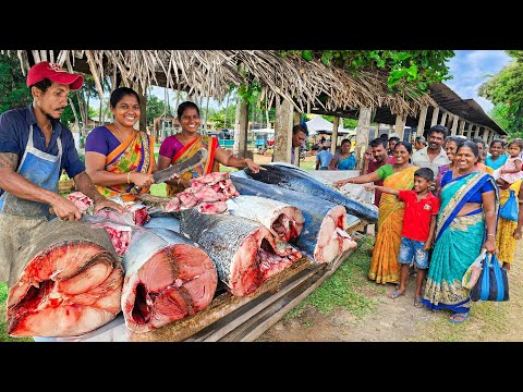 Wow! Village Fish Market The Lifecycle of a Sri Lankan Fisherman's Family Journey