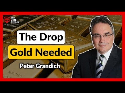 The Best News for Gold Was the Drop! - Peter Grandich