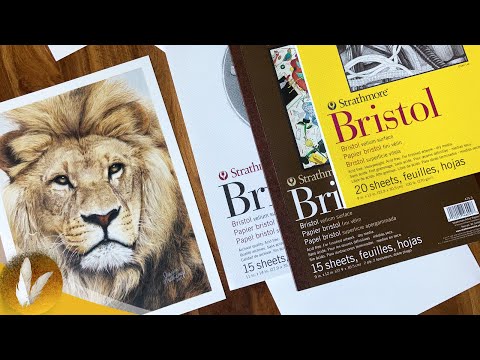Best Paper For Colored Pencils | Strathmore Bristol Vellum Paper Review