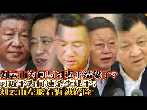 习近平为何与刘云山结梁子?习近平为何速杀李建平?刘云山左膀右臂被剪除!