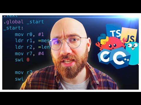 What are the differences between PROGRAMMING LANGUAGES?