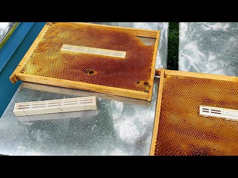 Изолятор Миленина. Практика применения. Плюсы и минусы.