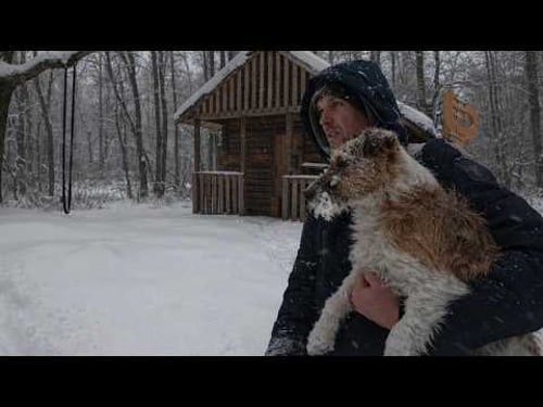 A man and a puppy hide from a blizzard in an old abandoned house