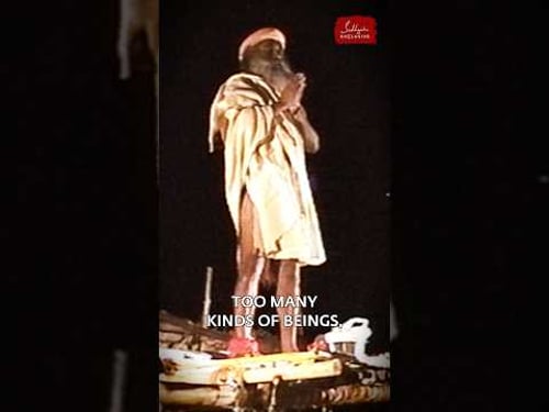 Guru Pooja – New Series on Sadhguru Exclusive