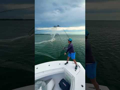 Cast Netting Bait! #shorts #spiderman #ocean #beautiful #photography