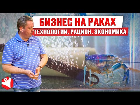 Как работает акваферма? | Выращивание и продажа раков | Бизнес идеи