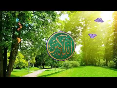 ЧУДО ДУА СИЛЬНАЯ ПОМОЩЬ АЛЛАХ ОТКРОЕТ ВАМ ВСЕ ДВЕРИ