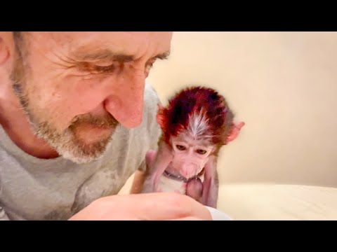 Накормить Степашка всё труднее, если ему НЕ НРАВИТСЯ ЕДА, можно даже не пытаться его накормить!