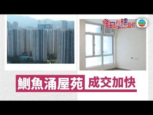 TVB今日有樓睇|2026年03月16日|鰂魚涌屋苑 成交加快|樓市|樓盤