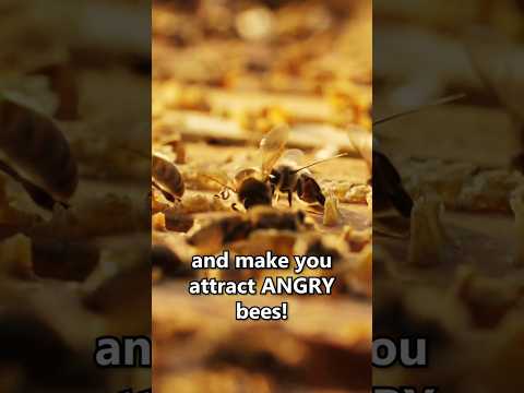 This DNA makes you attract angry bees