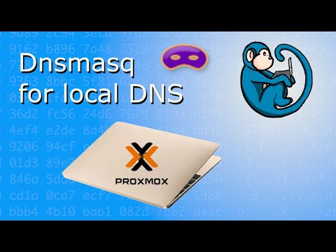 Local DNS with Dnsmasq running in Ubuntu LXC - Proxmox tutorial series