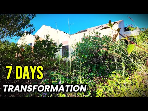 From a Dead Hotel to Life — 7 Days, 37 Minutes, Unbelievable