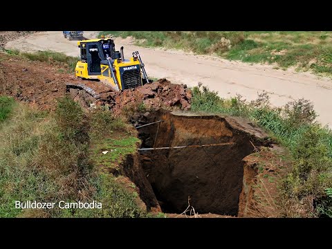 Perfectly Dozer Clearing Forests in One Step |Land Clearing Project Using SHANTUIDozer DH17C2