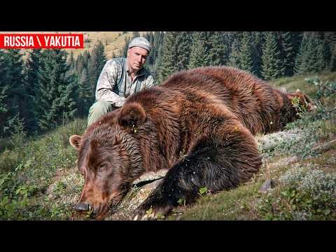 Trophy hunting in Yakutia 2. Kharaulakh snow sheep and Yakut bear #hunting