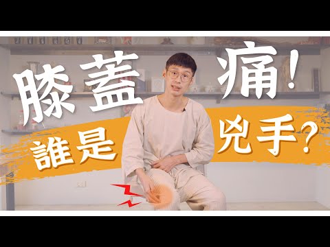 膝蓋是被害者?膝蓋痛不只治療膝蓋?可以跑步嗎?!|迷思破解