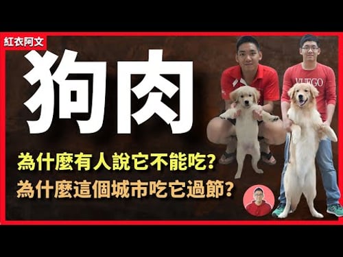 為什麼有人說他不能吃?而為什麼這個城市吃它過節?奇聞|風俗|節日|荔枝|玉林|夏至|狗肉|美食