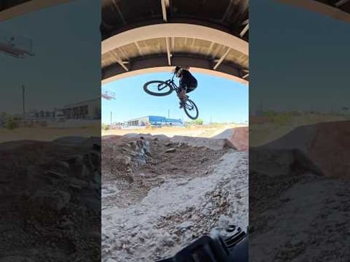 This summer has been a fun one!