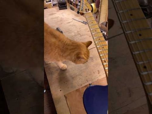 Easy repair of a Canadian electric guitar😺