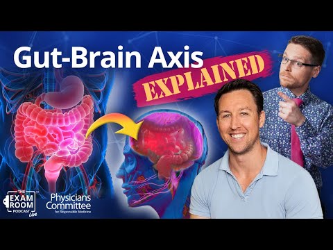 Your Gut: A Second Brain | Dr. Will Bulsiewicz | Exam Room Live Q&A