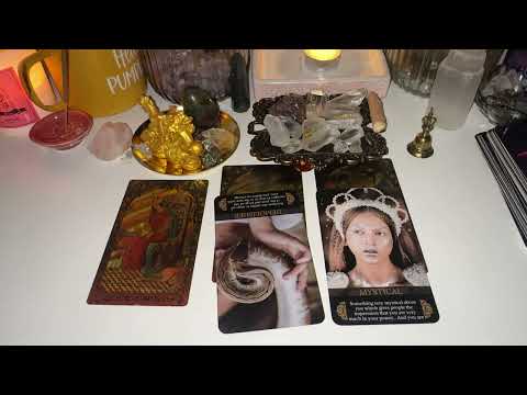 You Look Gentle… But You Are Spiritually Armed.