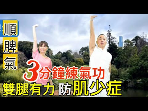 【防肌少症】3分鐘氣功 重訓+氣功 肌力加倍 【feat. 氣功老師 彥寬/健康主播鄭凱云】 @白雁氣功BaiYinQigong