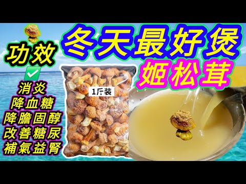 姬松茸雞湯🟠Chicken Soup with Agaricus Blazei Mushrooms🐔🍄Helps in a Wide Range of Disease Conditions✅