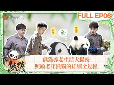 MULTI SUB|熊猫们的养老院长什么样?养老生活大揭密🐼照顾老年熊猫的详细全过程,最童颜的熊猫高高还是这么可爱!|《熊猫一家人Panda‘s Family》|EP06|MangoTV
