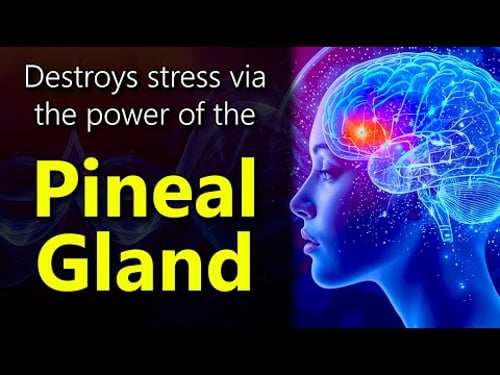 Your Brain WON'T Understand this Audio - But your Pineal Gland WILL