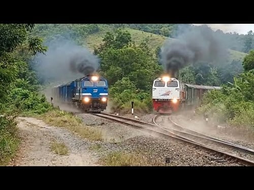 Unbelievable Train Moments Caught on Camera