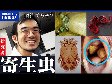 【パラサイトする恐怖?】寄生虫の魅力に寄生された研究者が熱弁!摩訶不思議な生態と生存戦略|アベプラ