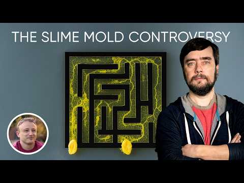 FULL VIDEO: Dr. Michael Levin responds to the "Slime Mold Controversy"