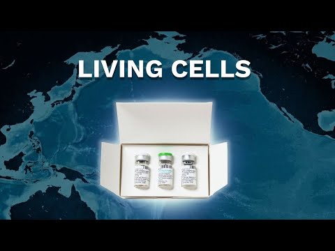 Inside the World’s Most Fragile Supply Chain