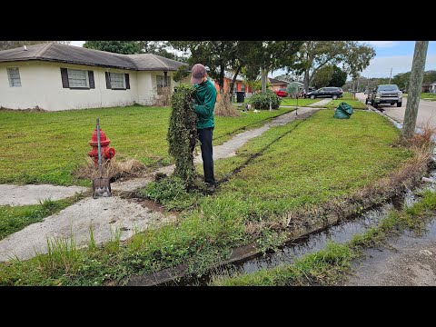 Neighbors Stop To Tell Me What They Think of OVERGROWN Lawn Transformation | SIDEWALKS UNUSABLE!