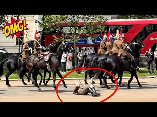 BRAVE TROOPER GETS FLIPPED OFF HORSE IN CENTRAL LONDON