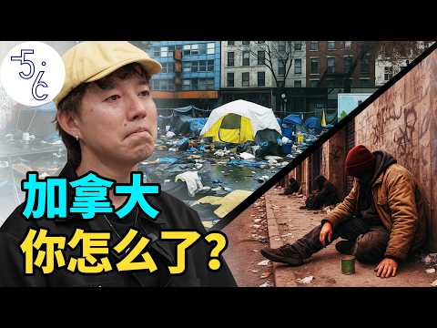 移民12年, 亲眼见证加拿大的堕落!