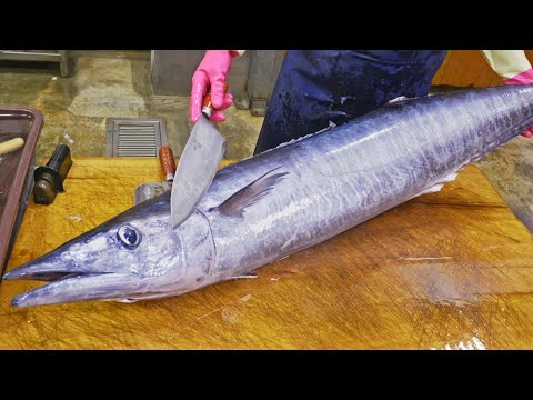 Amazing Sea Traps!Catch Fish with Fixed Nets, Wahoo Fish Cutting Skills/驚人的海洋寶庫!長濱定置漁場魚類捕撈, 石喬魚切割技巧