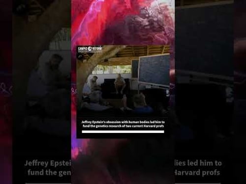 Jeffrey Epstein's obsession with bodies led him to fund the research of two current Harvard profs