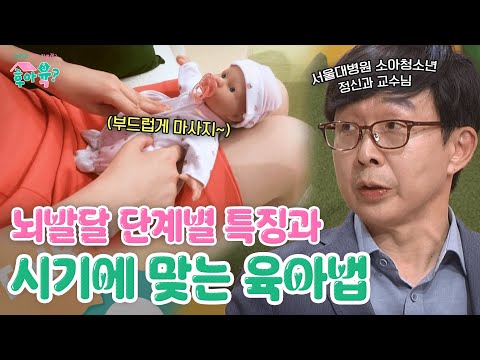 김붕년교수님이 알려주는 뇌 발달 단계별 육아법🍼| 후아육 14화 | KBS 250715 방송