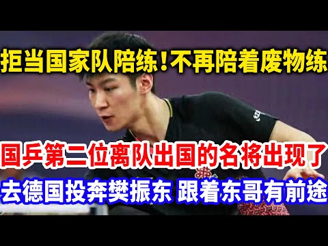 拒绝给国家队当陪练,第二位加盟德国国乒名将出现了,德国投奔樊振东!这才是光明之路
