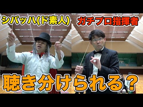 It doesn't really matter who's the conductor, does it?